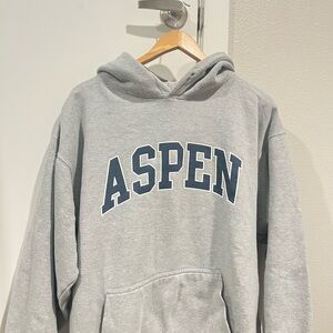 Brandy Melville Aspen Hoodie
